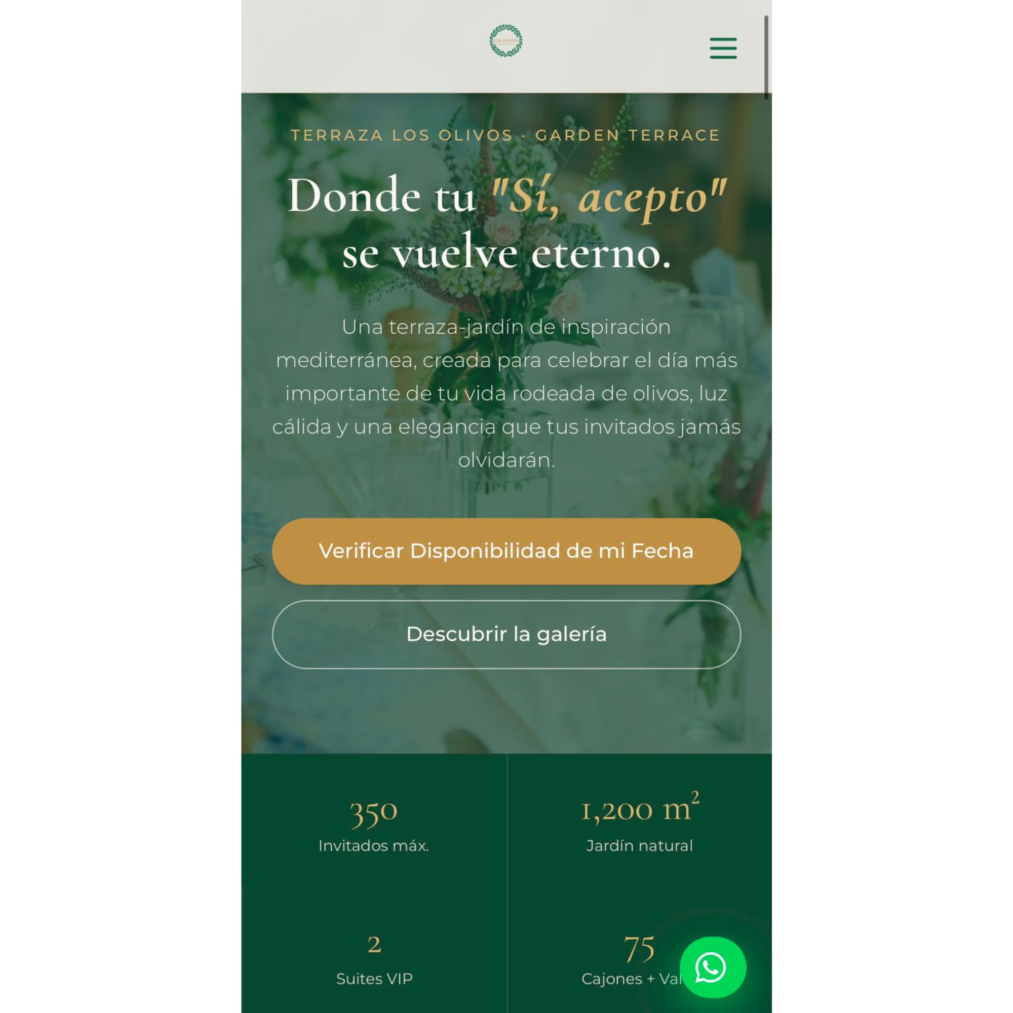 Diseño web para terraza de eventos Terraza Los Olivos